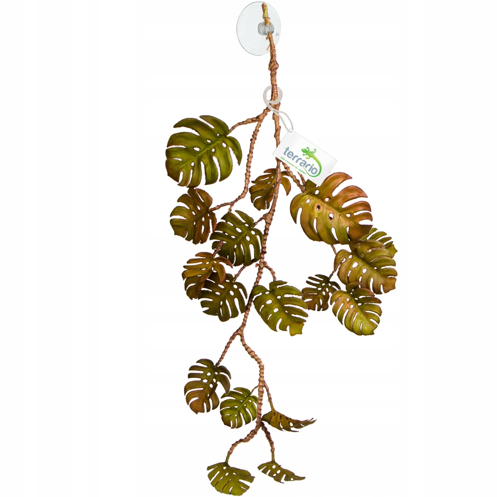 Umělá Monstera Závěsná Do Terária Rostlina Pro Plazy Ještěrky