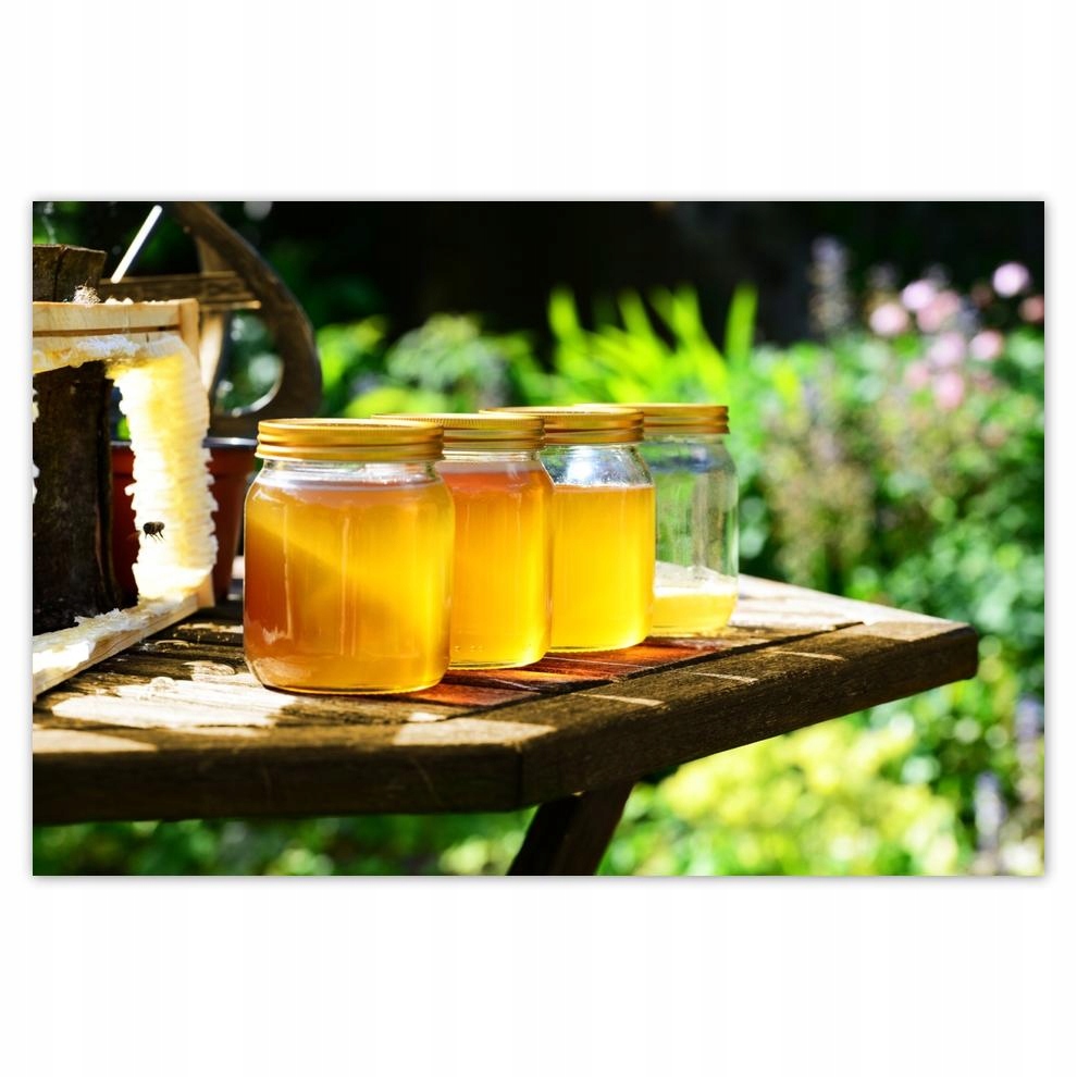 

Plakaty 60x40 Naturalny miód