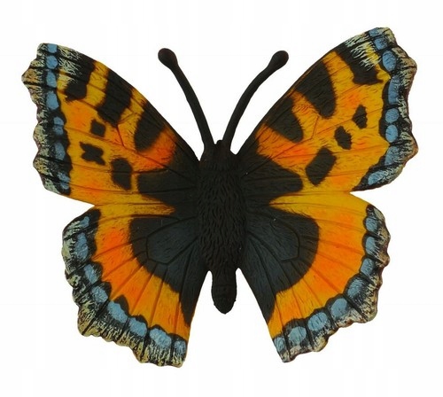 

Motyl rusałka pokrzywnik M
