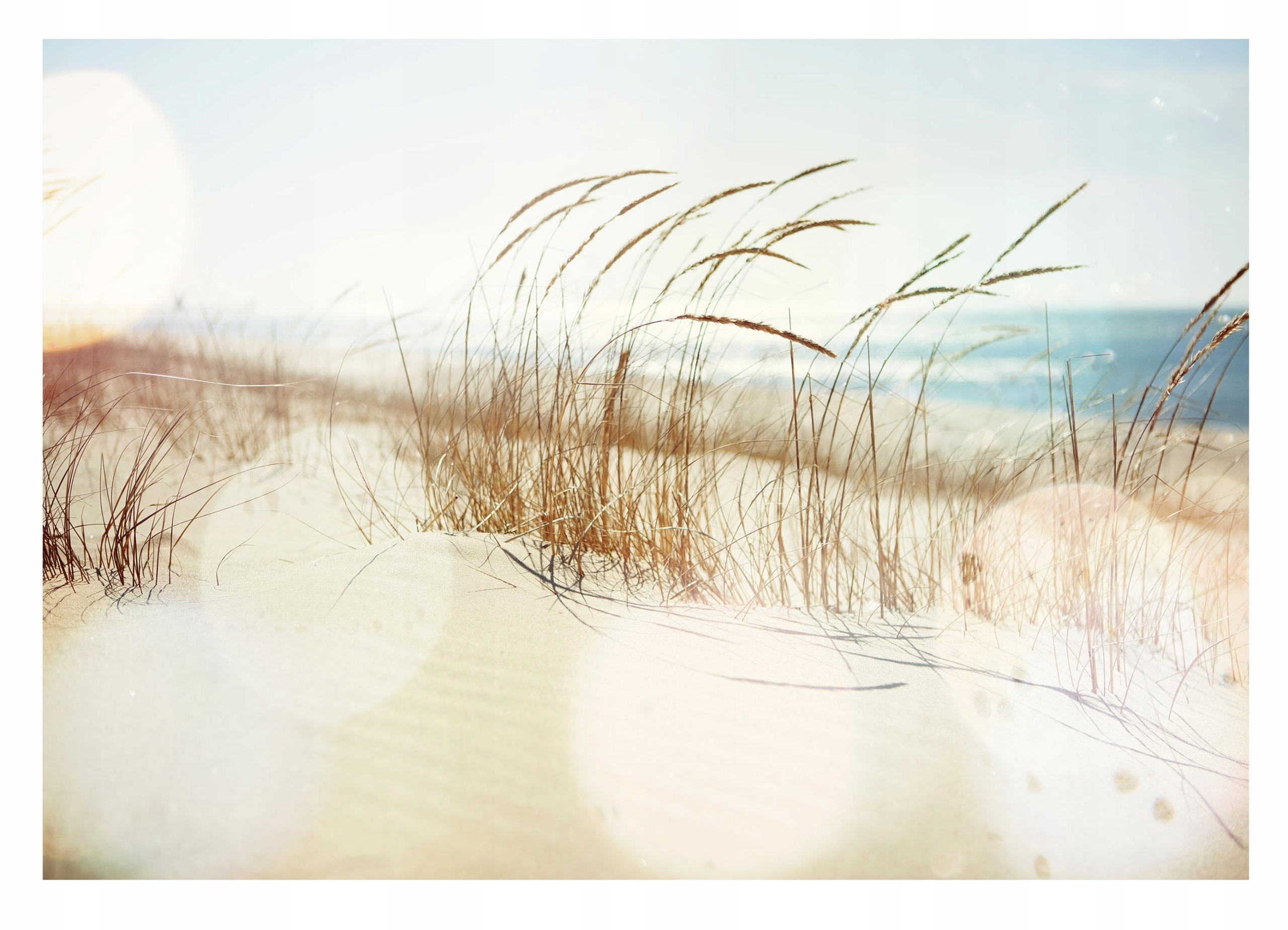 

Fototapeta Plaża Morze 3D Wydmy Trawa 368x254