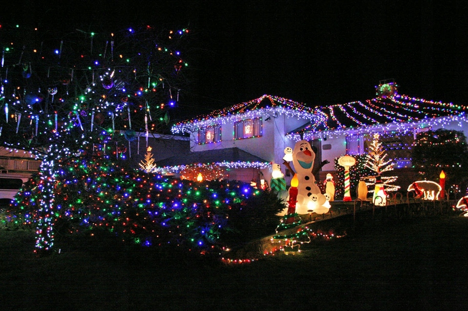 500 LED CHRISTMAS TREE LIGHTS OUTDOOR/INDOOR MULTICOLOR CHRISTMAS TREE LIGHTS 38M Brand Hoffner