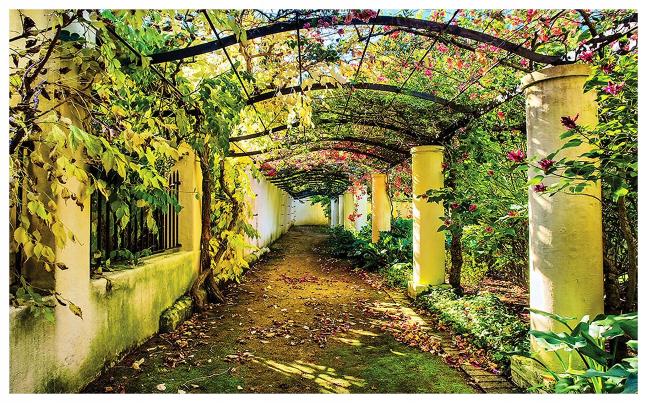 Fototapeta Kvetinový tunel vinylová aleja slniečko zelená 312x219 lepidlo