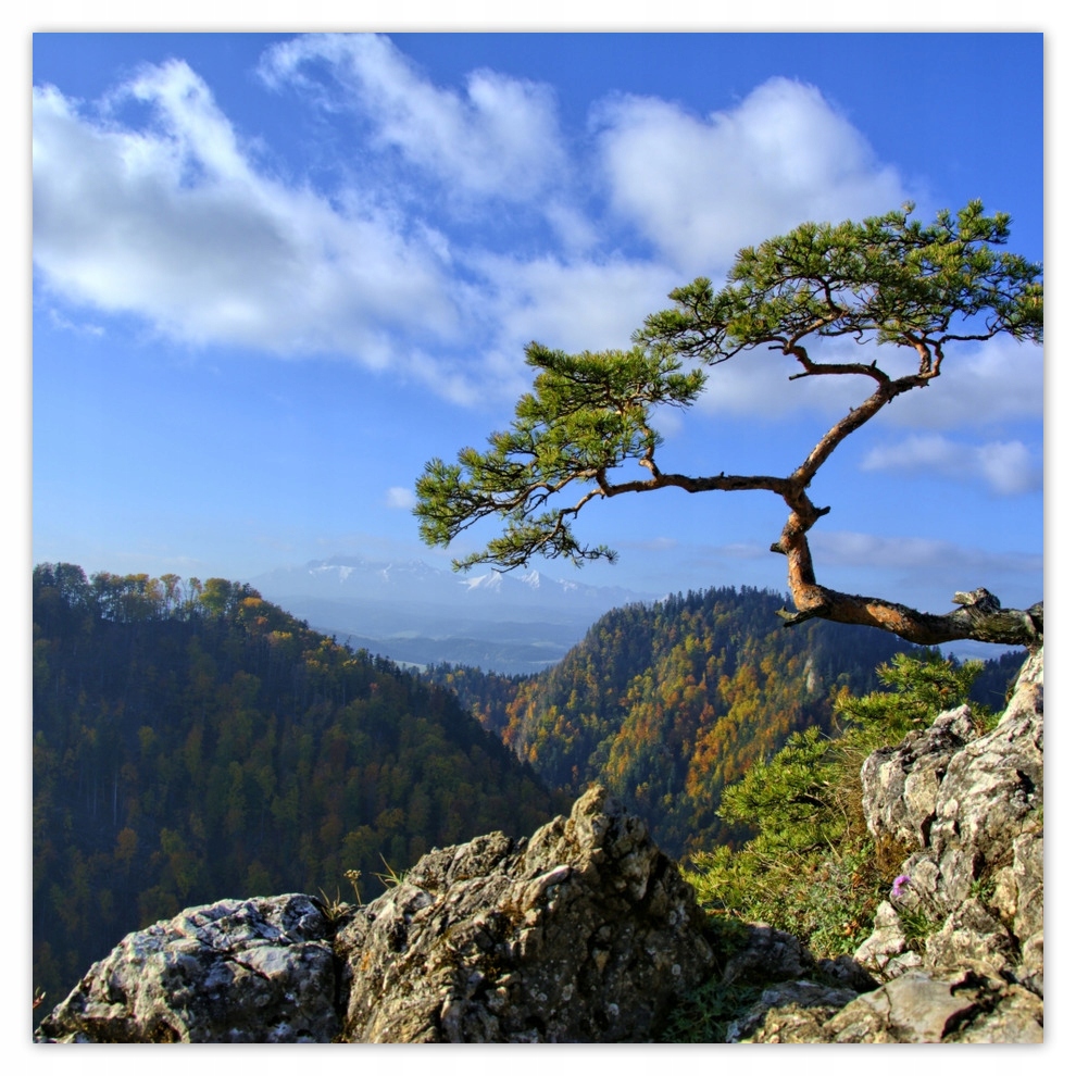 

Fototapety flizelina 208x208 Krajobraz Widok