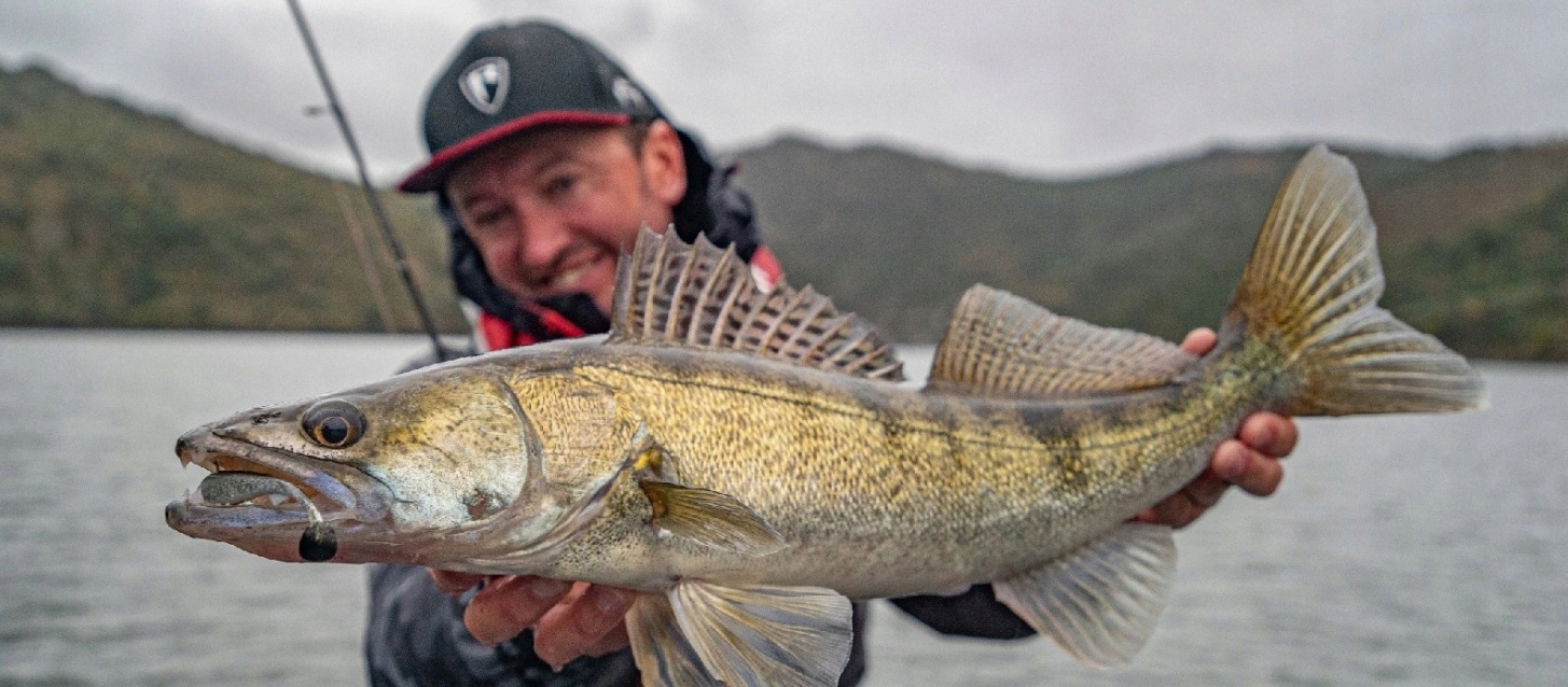 NA SANDACZA FOX RAGE SLICK SHAD 9 CM SUN DANCE Kod producenta NSC054