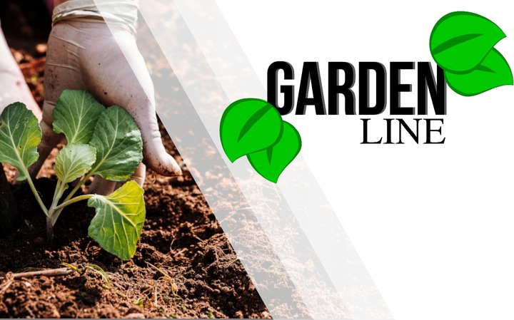 GRZĄDKA PODWYŻSZONA WARZYWNIAK WARZYWA KWIATY STAL 90X90X30cm OCYNK OGRÓD Marka GardenLine