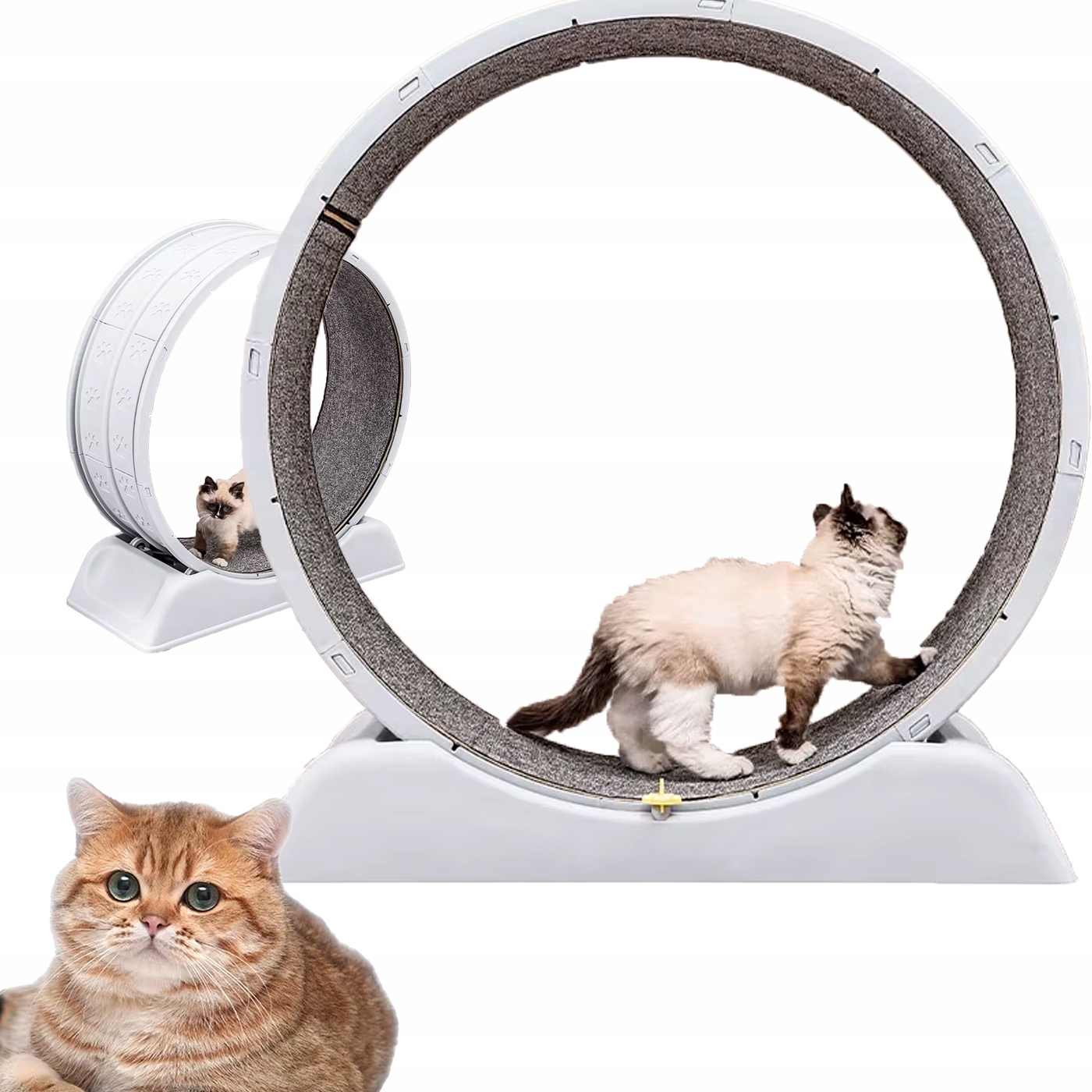 Levně Běžecký pás pro kočky Ultra Tichý Velký 80 cm Bezpečný zámek