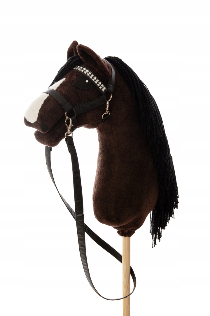 Konik Hobby horse hhAgi Gniady 2 A4
