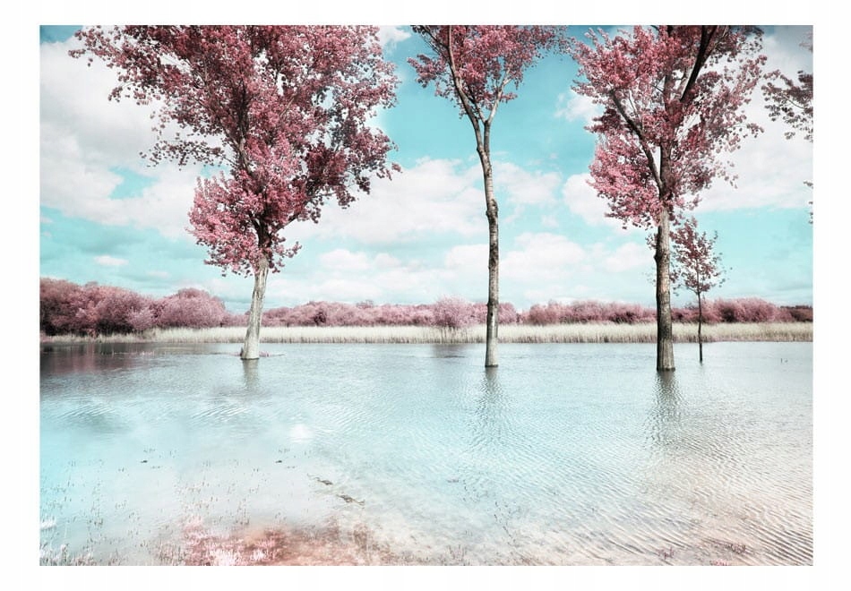 

Fototapeta - Jesienny krajobraz - 350X245