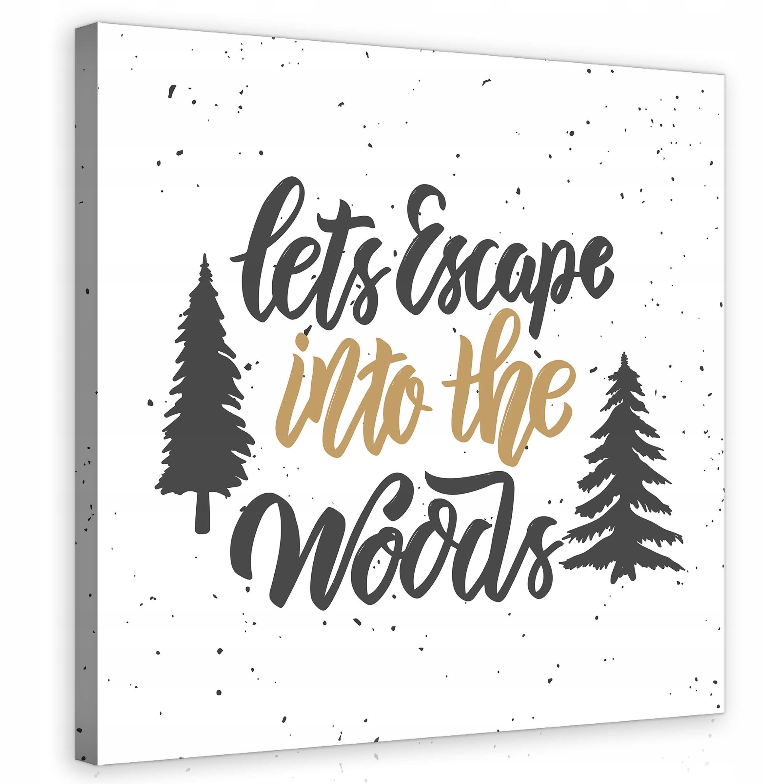 Obraz 80x80 Les útěk příroda klid dekorativní inspirace motivační