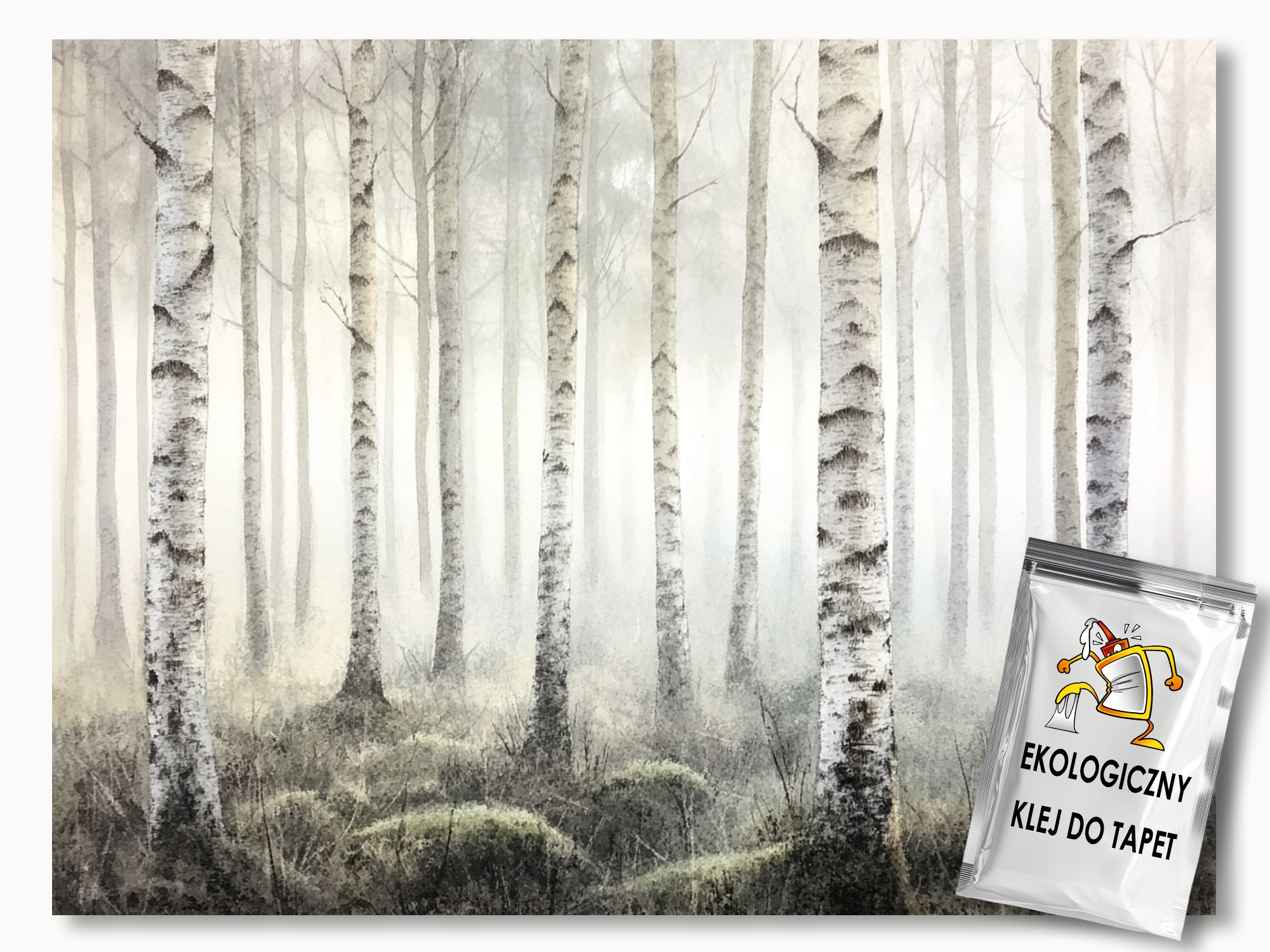 Fototapeta Flizelina Krajina Príroda Les Stromy Breza Hmla 312x219 130g