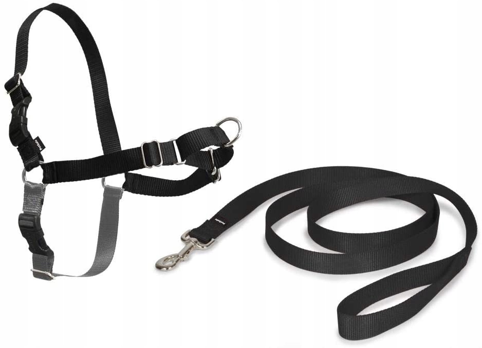 Levně Vodítko PetSafe, materiál 1,8 m