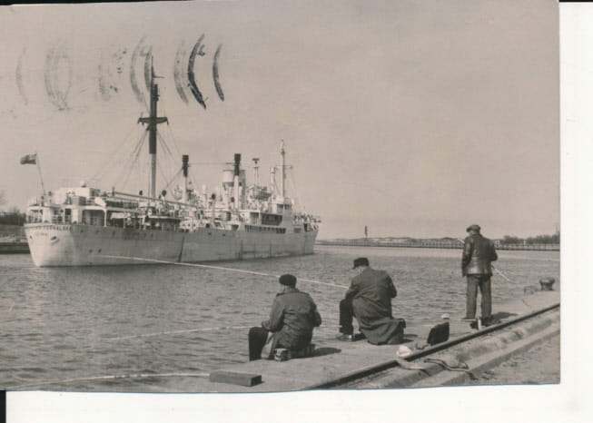 M/S Małgorzata Fornalska - 041481