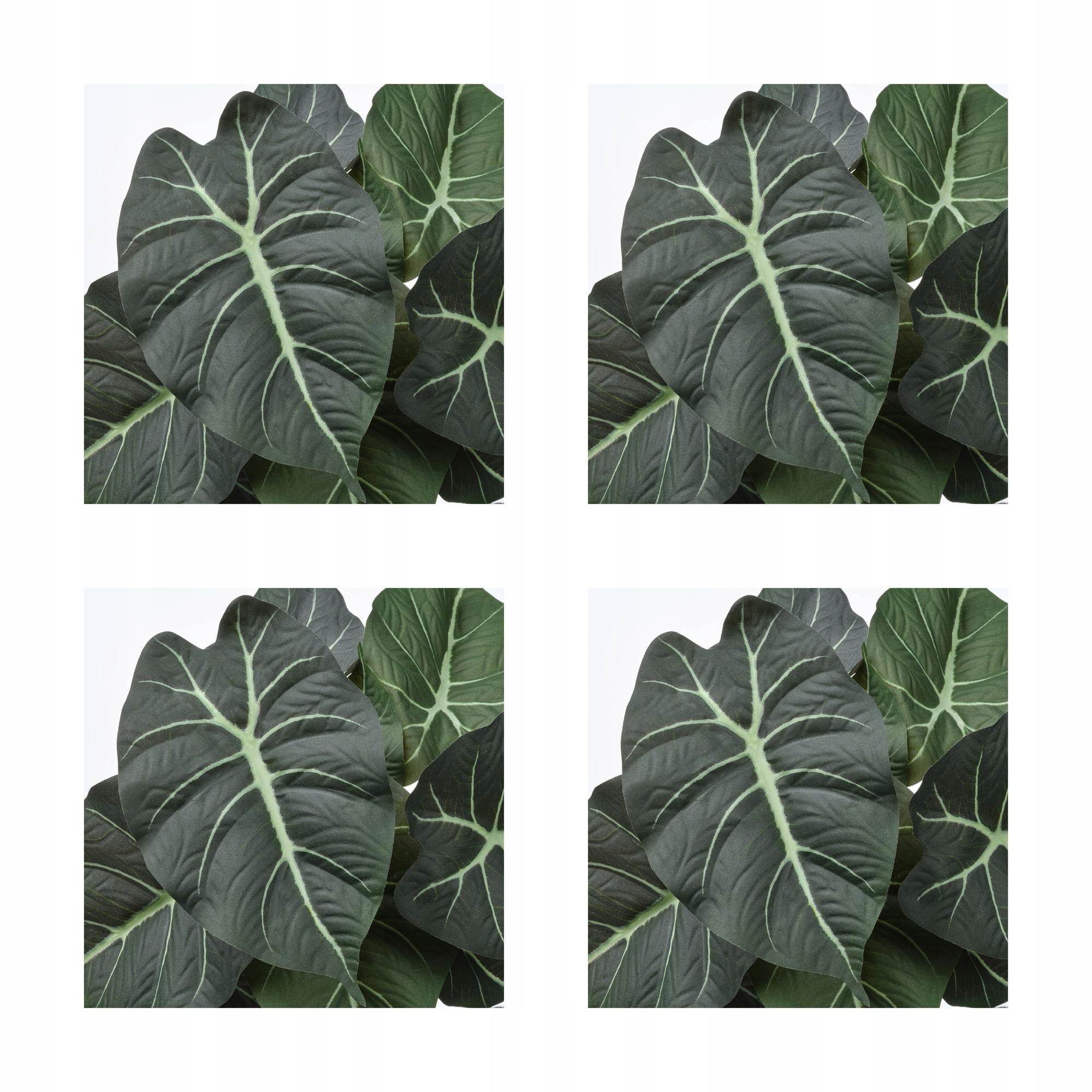 4 ks Umělá pokojová rostlina Alocasia 12 cm Fejka