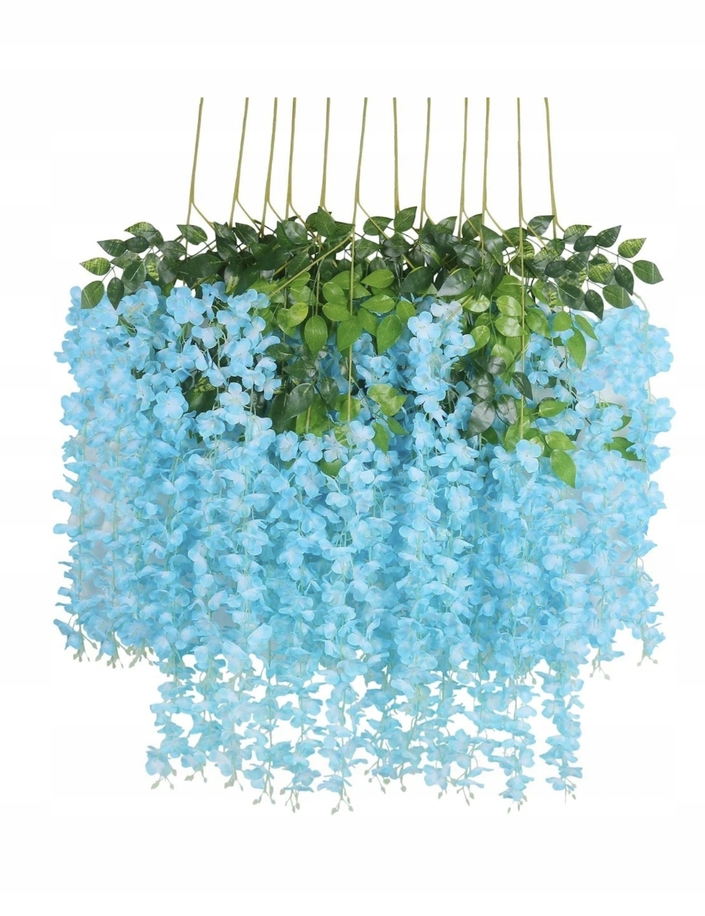 

XXL Wisteria x12 Glicynia girlanda pnącze zwisy