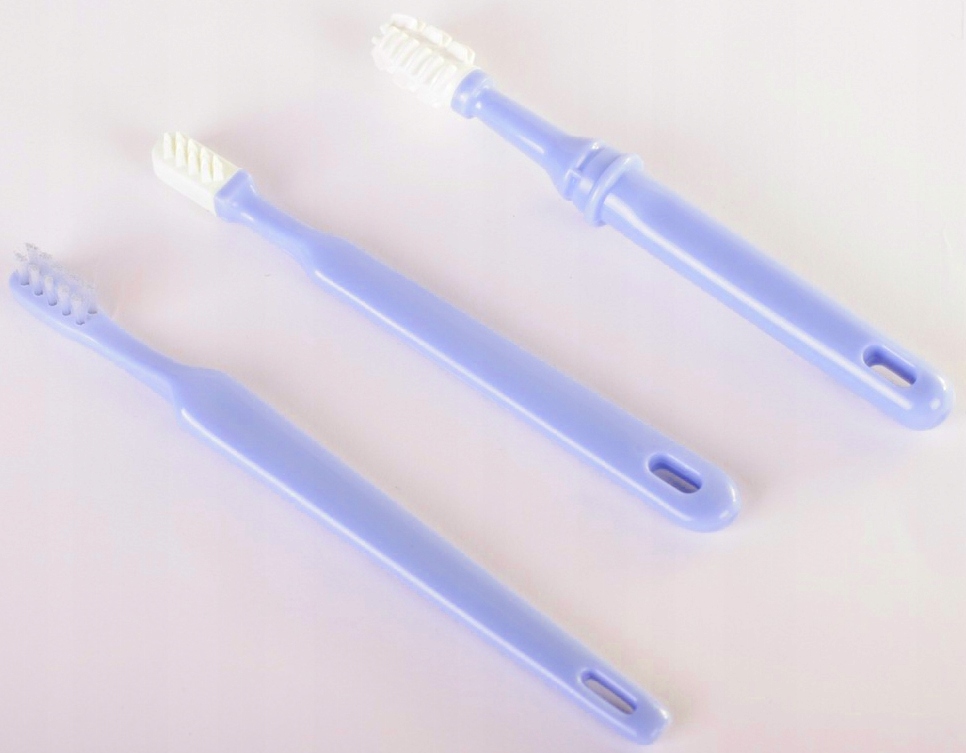 ZESTAW SZCZOTECZEK DO PIELĘGNACJI ZĘBÓW I DZIĄSEŁ 33556 Kod producenta 33556