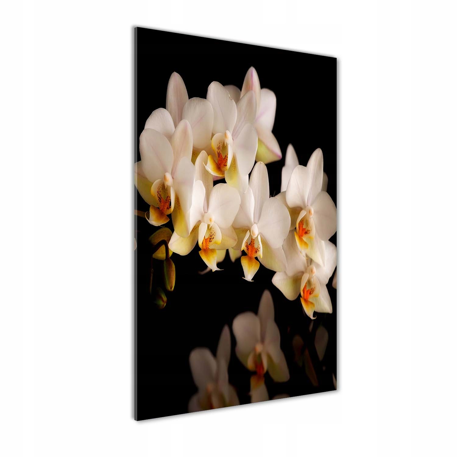 

Foto obraz akrylowy na ścianę Orchidea 60x120 cm