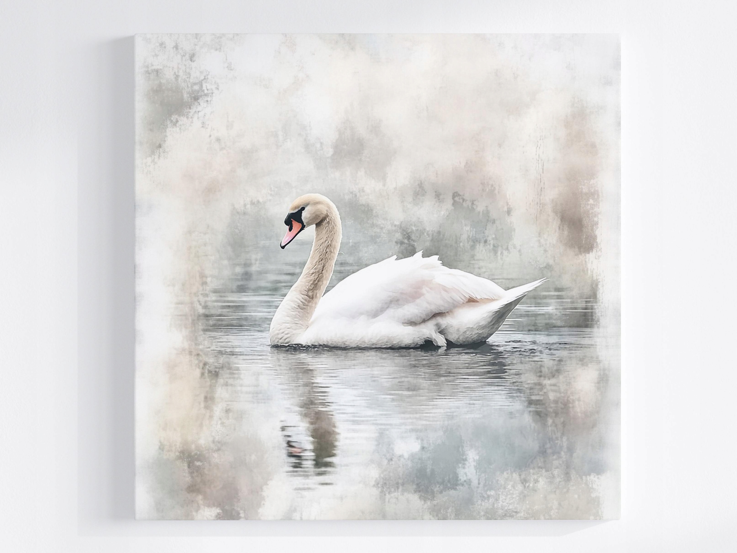 Obraz Na Plátně Canvas Příroda Jezero Rybník Pták Labuť Mlha Šedá 80x80