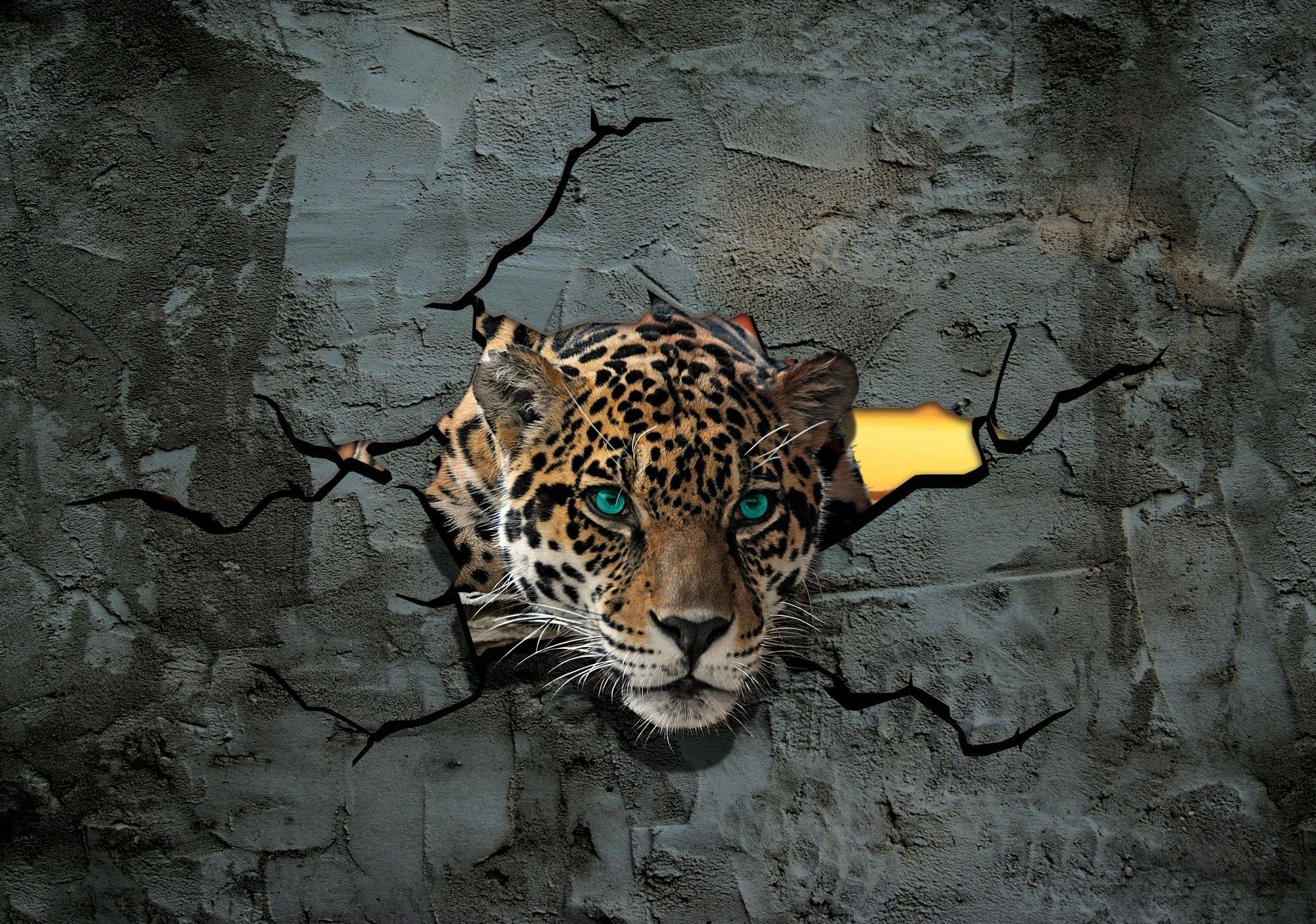 Vliesová fototapeta Jaguar přes zeď s efektem 250x175 lepidlo