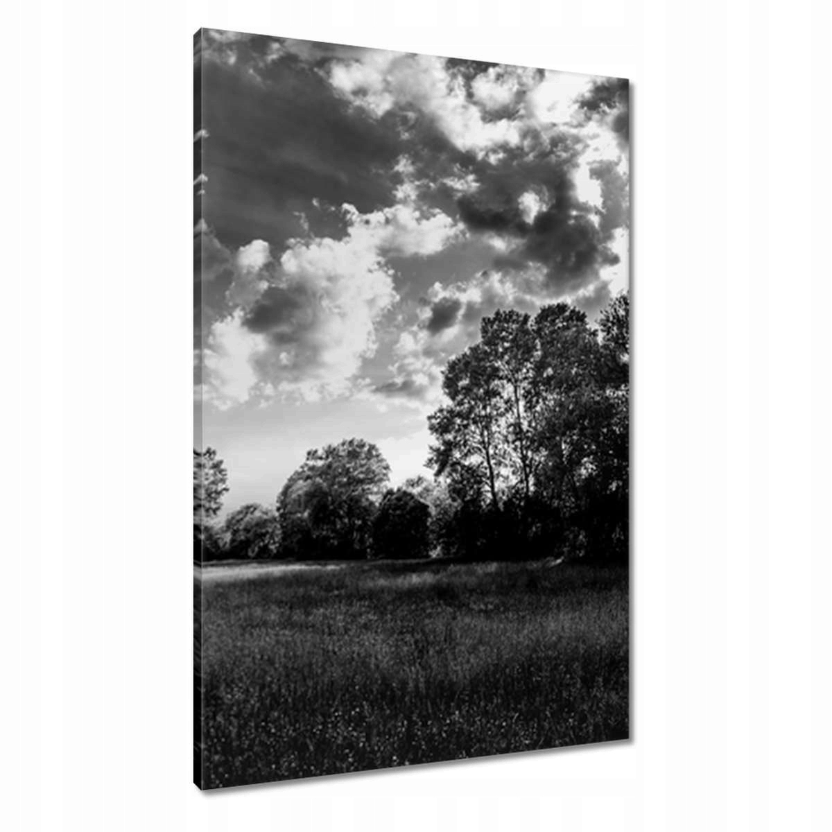 Obrazy 60x90 Venkovská krajina louky