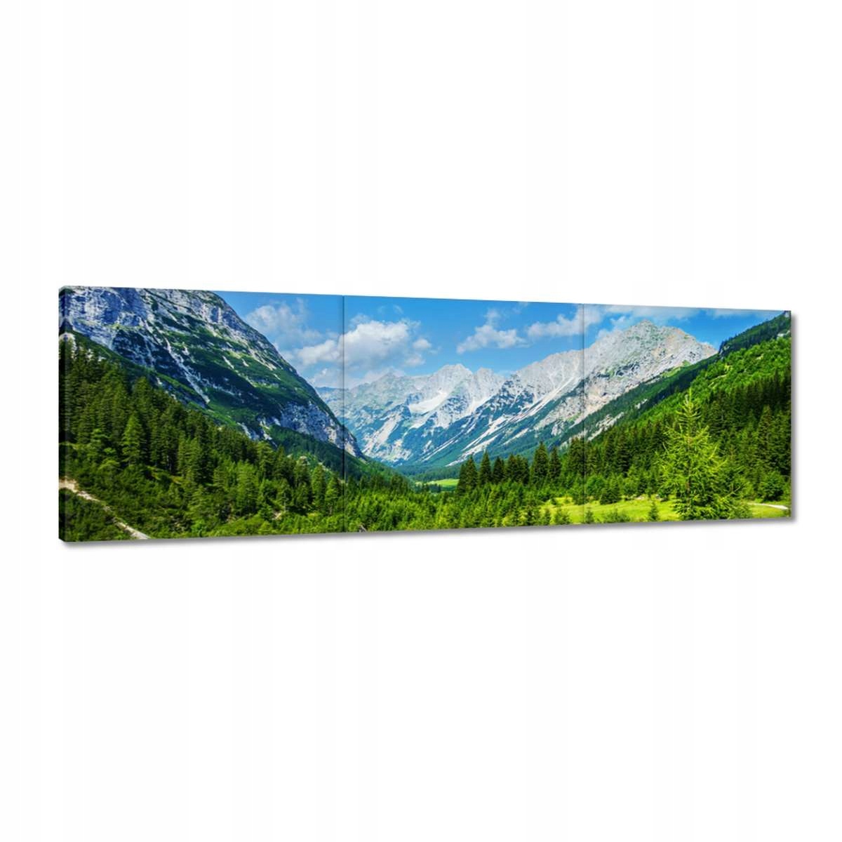 Obrazy 120x40 Horská krajina s krásnými mraky Stromy v horách
