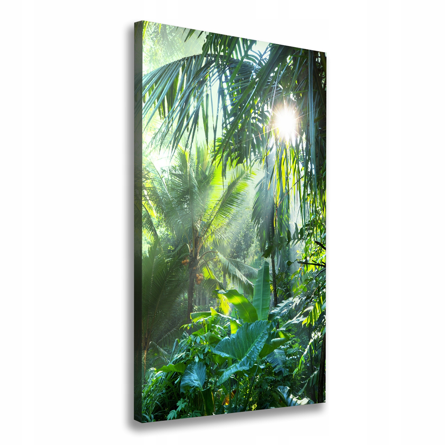 

Nowoczesny obraz canvas na ramie Dżungla 50x100 cm