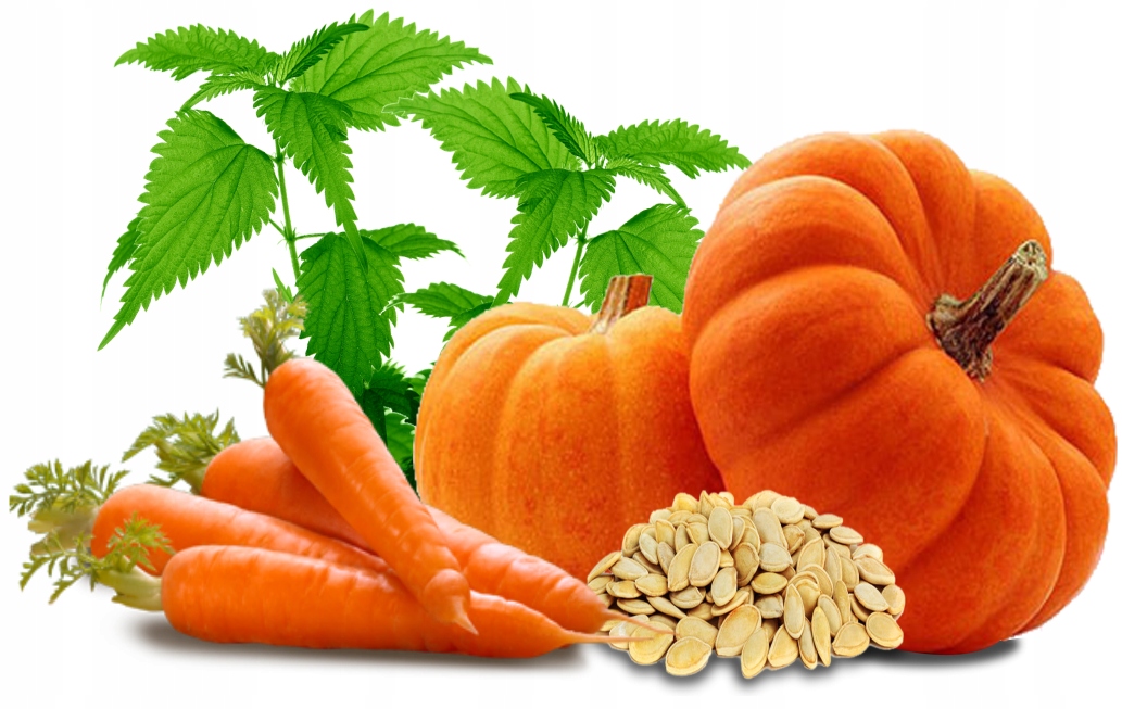 NUTRENA KURKA NATURKA PASZA KACZKA I GĘŚ KRUSZONKA DLA KACZEK GĘSI 20KG Kod producenta Pokarm karma kaczka gęś 2x 10kg