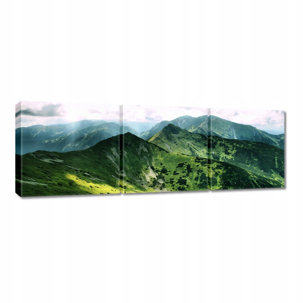 

Obrazy 60x20 Tatry Polskie góry Widok