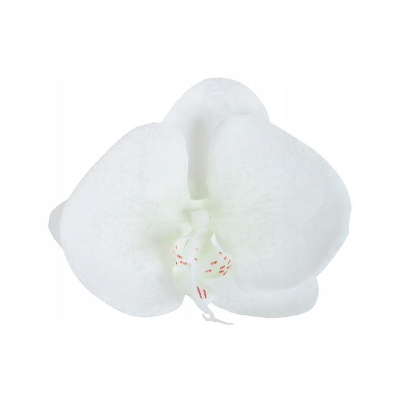 

Sztuczna Orchidea główki kwiatowe 10,5 cm 36 sztuk