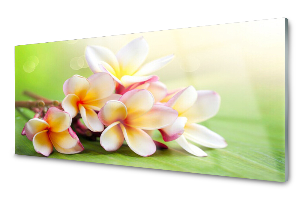 

Panel szklany do kuchni Kwiaty Roślina 125x50