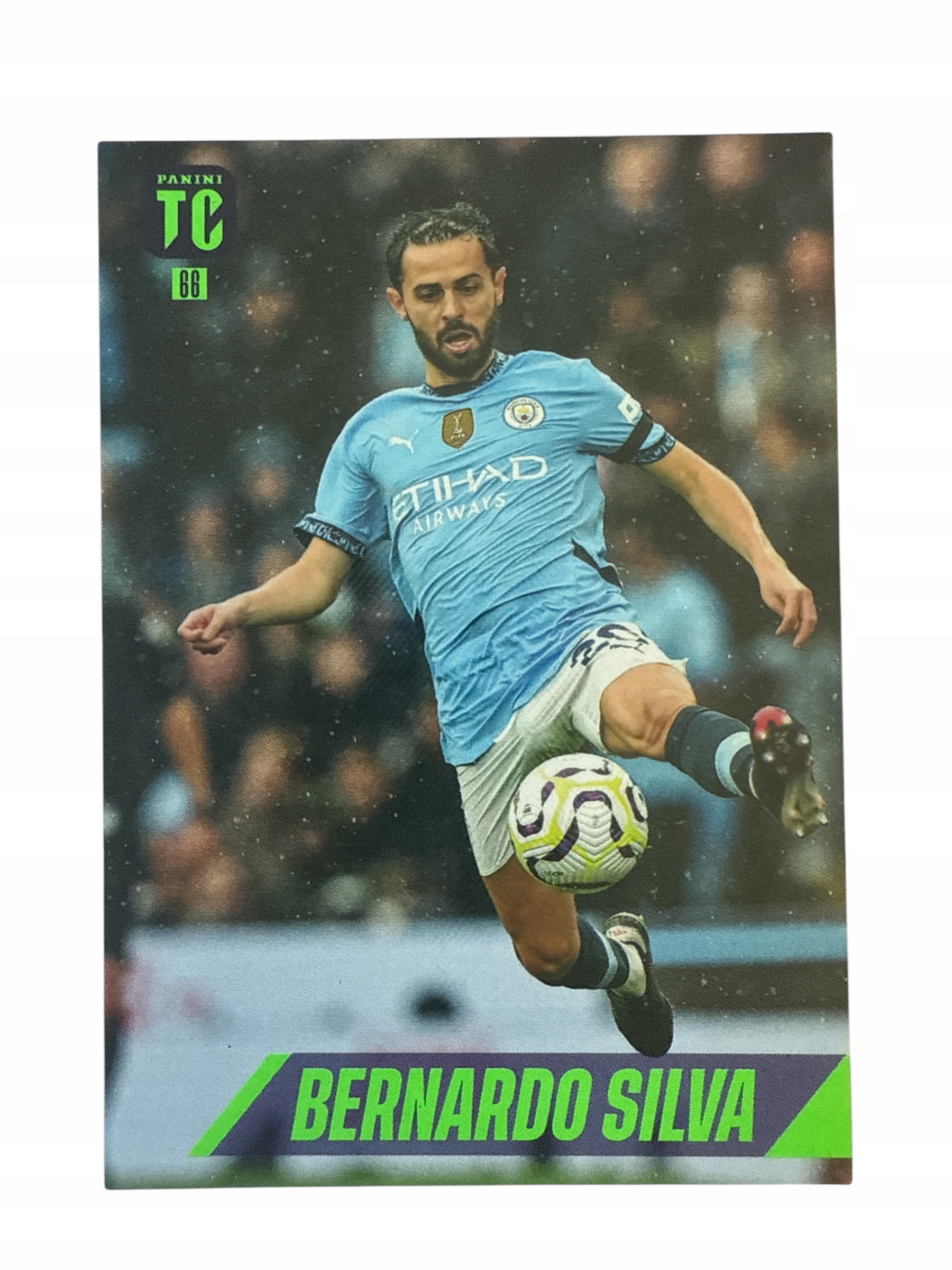 Top Class 2025 Base Card Nr 66 Silva