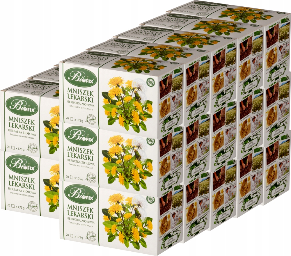 Herbata ziołowa w torebkach Bifix mniszek lekarski 20szt x25