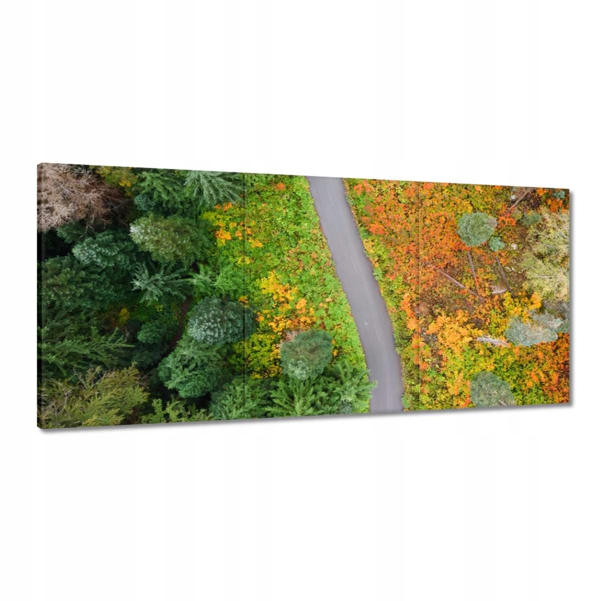 Obrazy 210x100 Cesta Les Jeseň