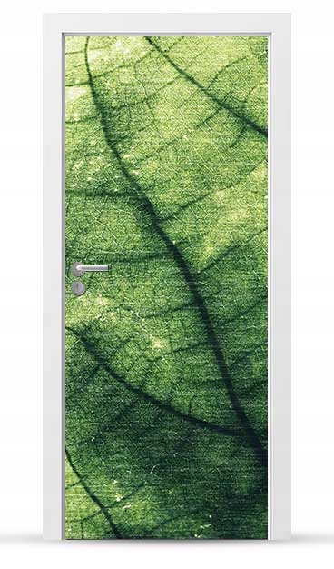 Okleina nálepka na vnější dveře Nábytková samolepicí Snadné Lepení