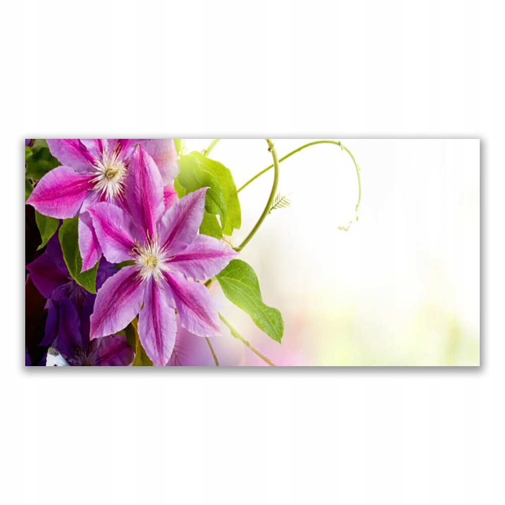 

Fotoobraz nowoczesny 120x60 Kwiaty Natura Przyroda