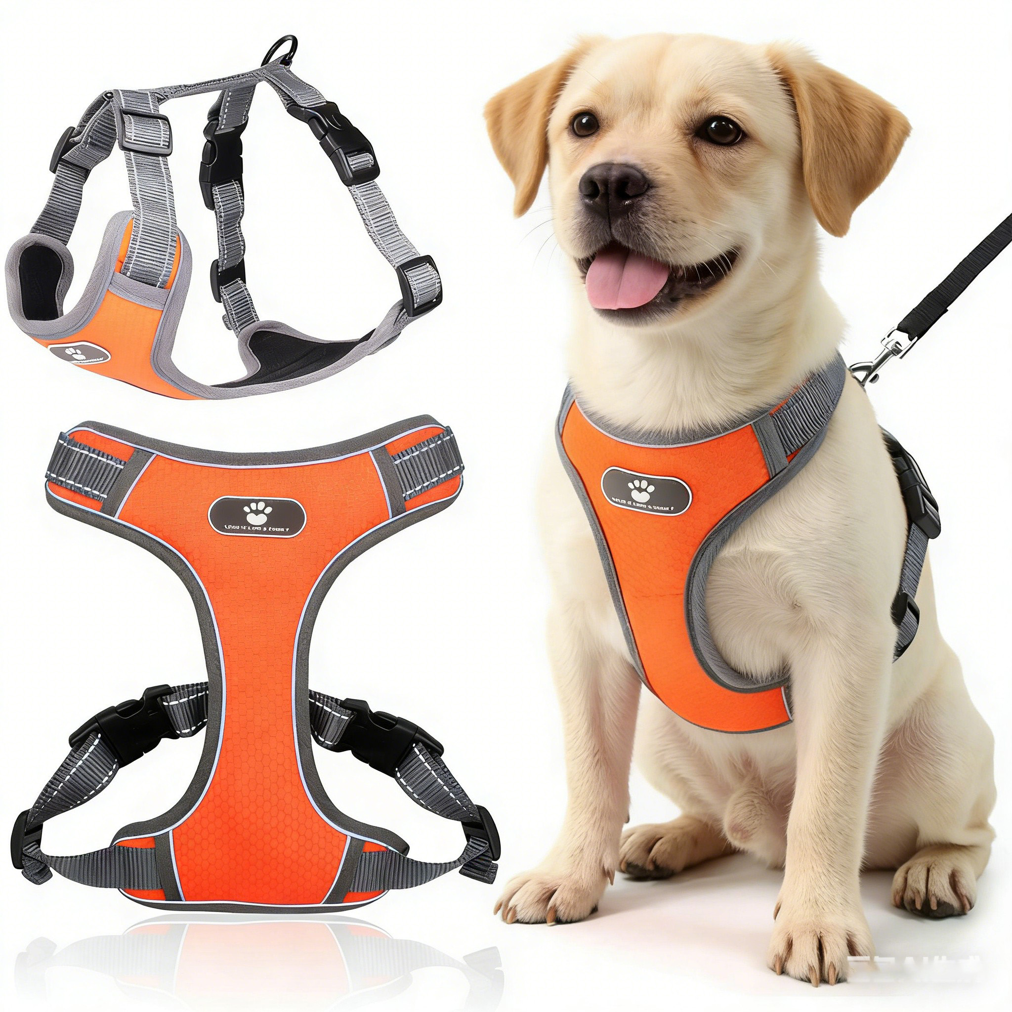 Levně Postroj+vodítko pro psy a kočky Bez Ochrany proti tahání, Nastavitelný, netlačí