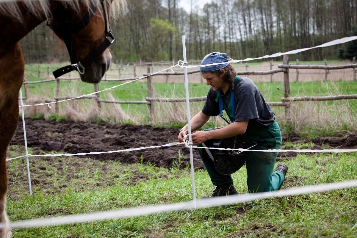 Taśma ogrodzeniowa 40mm 200m pastucha DLA KONI pastuch SZEROKA POMARAŃCZOWA Rodzaj taśma