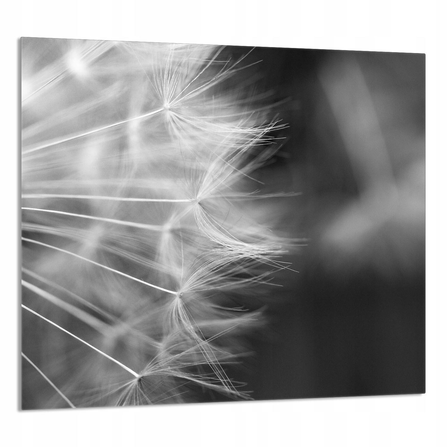 Skleněný Panel Do Kuchyně 65x60 Květ Tvrzené Sklo