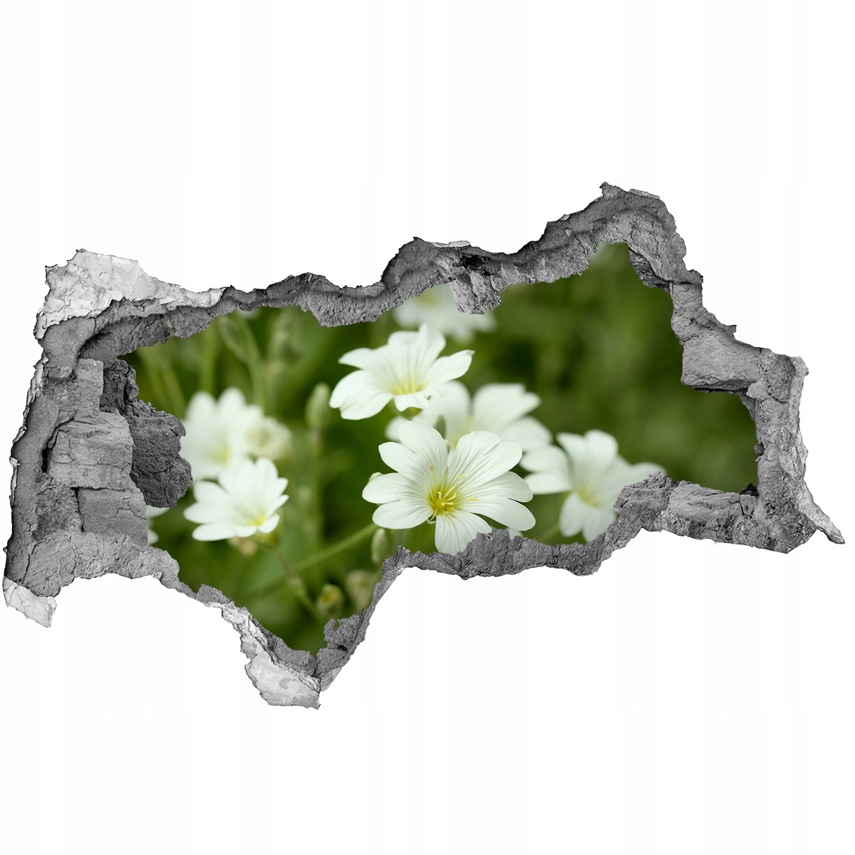 

Samoprzylepna Naklejka na ścianę Wiosenne kwiaty