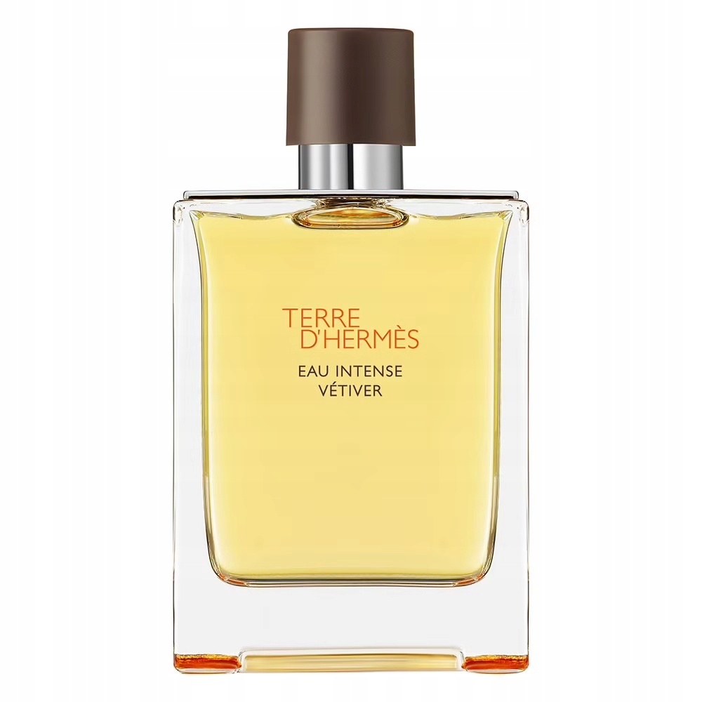 Hermes Terre D'Hermes Eau Intense Vetiver parfémovaná voda sprej 200 Ml