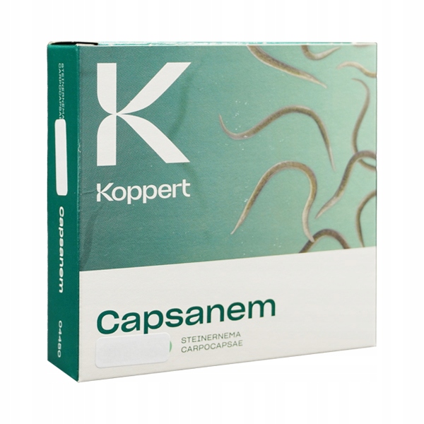 Capsanem 2X25 Milionów Na Turkucia Podjadka