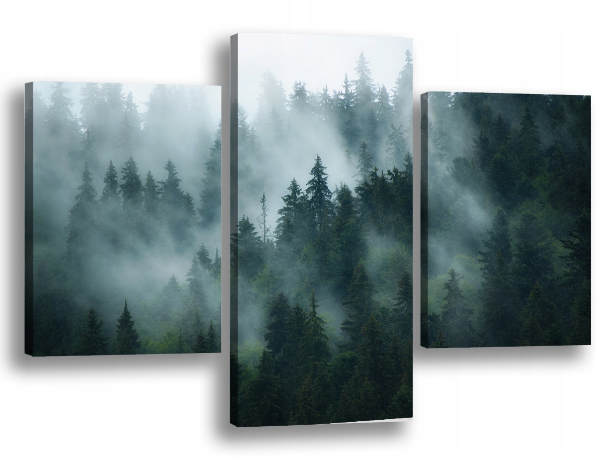 

Obraz na płótnie Las Drzewa Mgła 71C-120x80cm