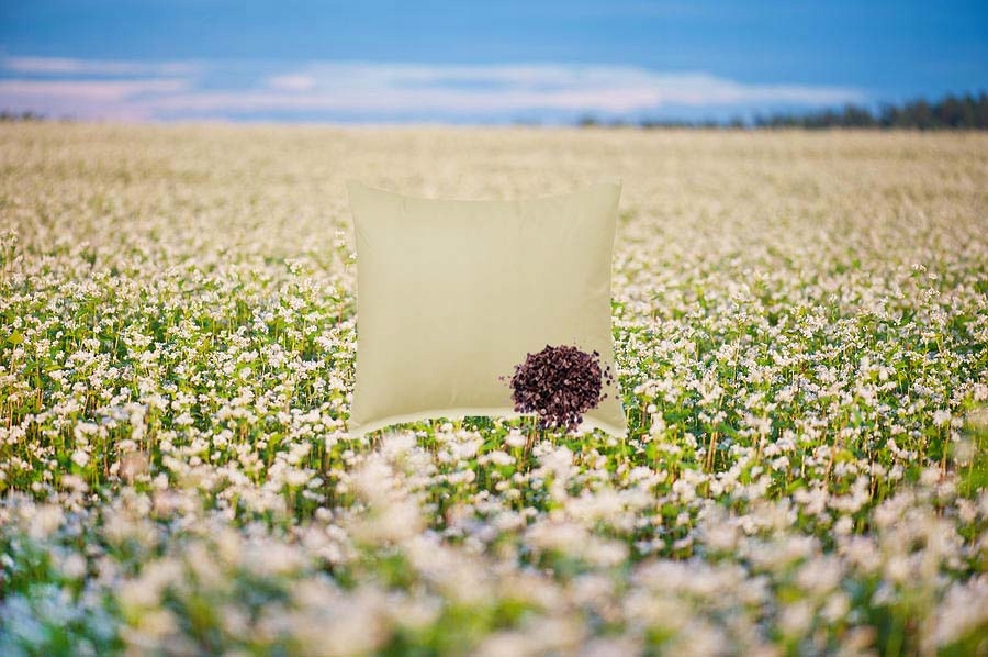 LECZNICZA PODUSZKA ŁUSKĄ GRYKI 40X40 BAWEŁNA HIT Jasiek gryczana naturalna Szerokość produktu 40 cm