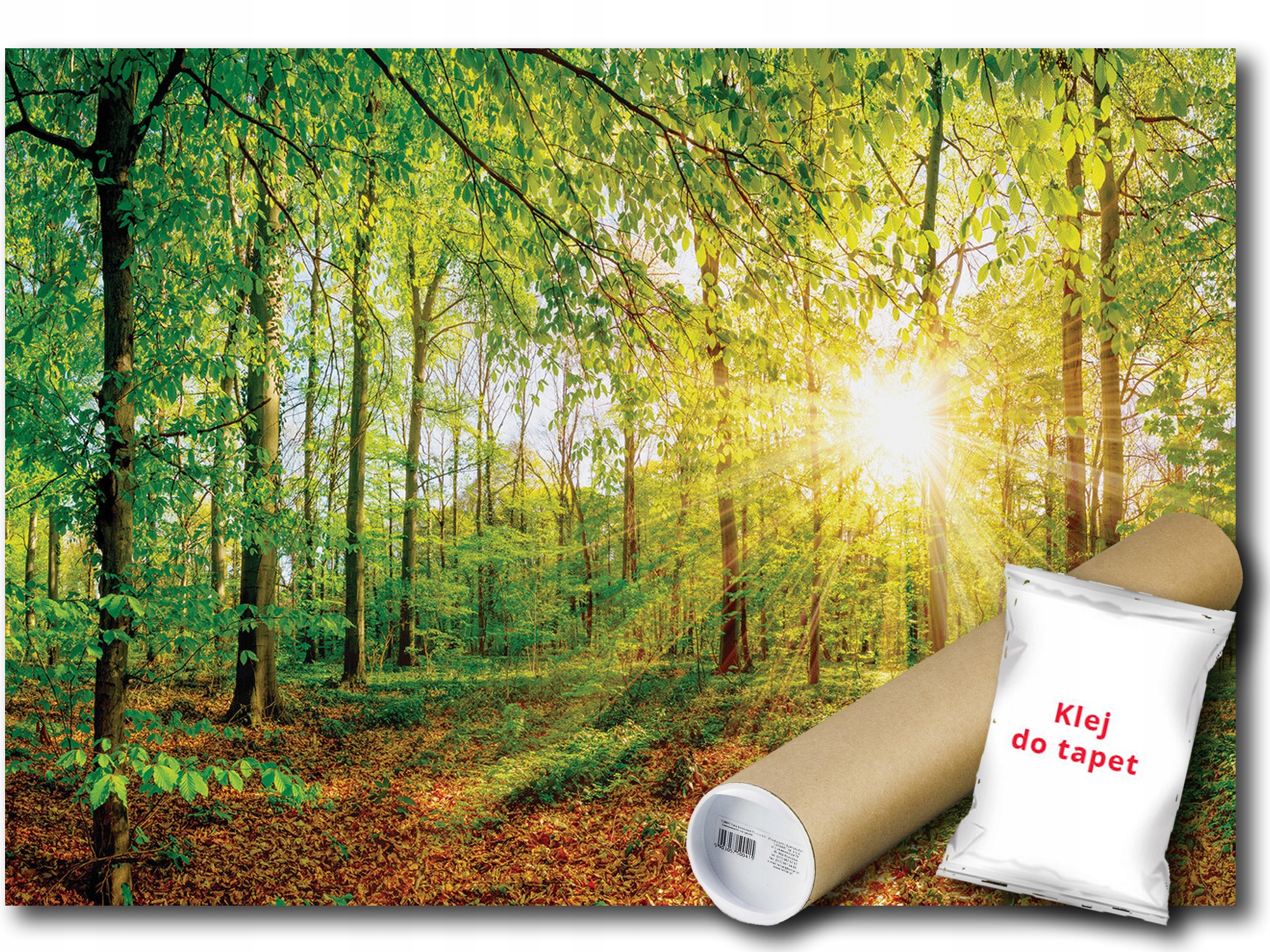 Vinylová Fototapeta Les Stromy Listy Zelená Slnko Krajina Príroda 208x146