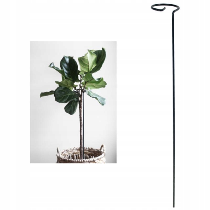 

Podpora Do Roślin Kwiatów Pierścień H60 CM