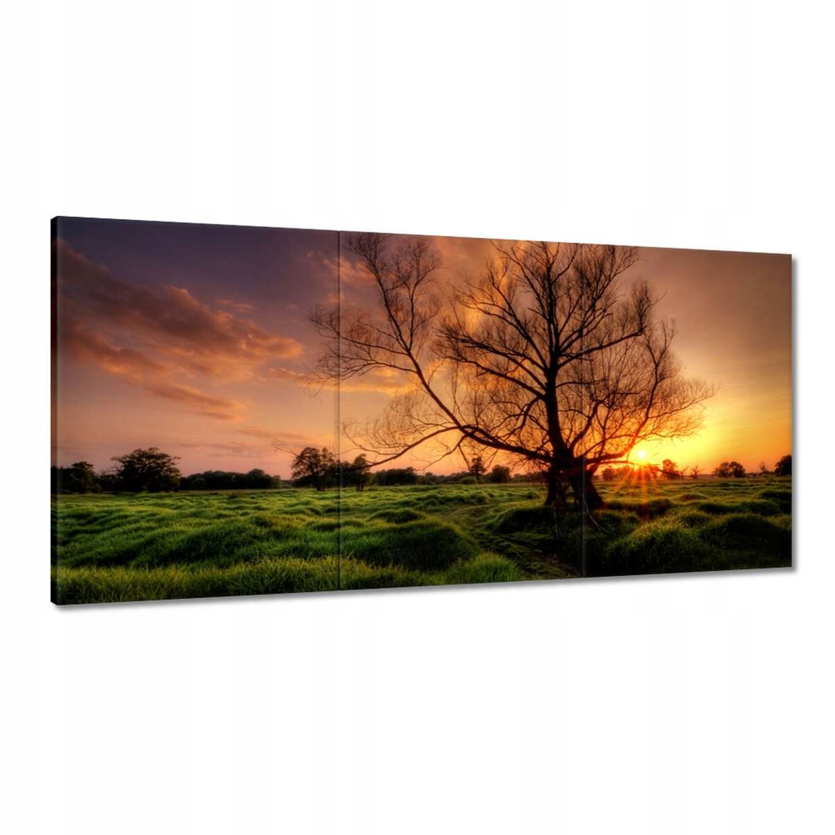 Obrazy 180x90 Večer v Rogaline