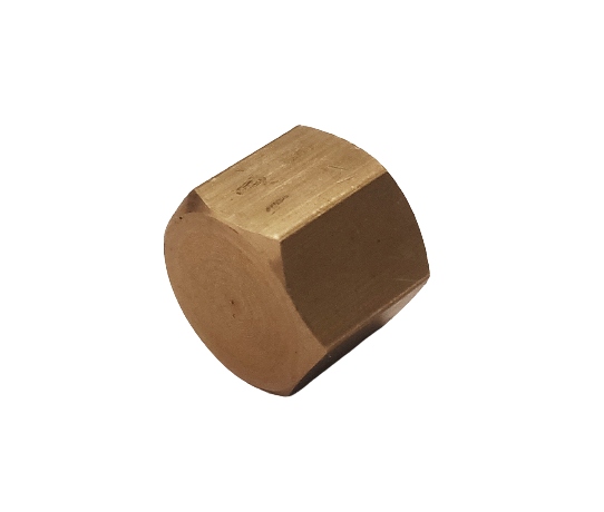 

Mosiężna Zaślepka 1/8" Cala Nakręcana Gw DN6
