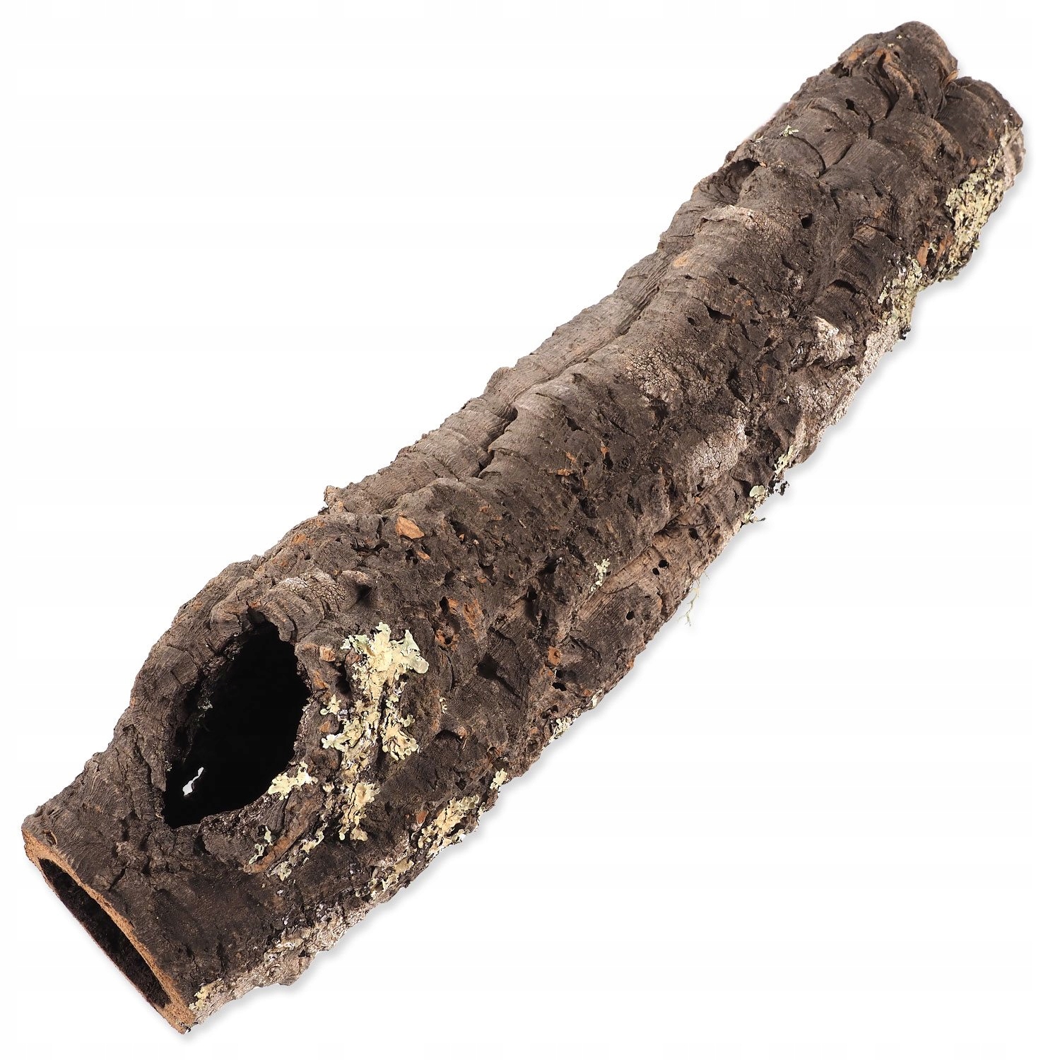 Levně Dekorace Repti Planet Korková kůra L 30-50cm