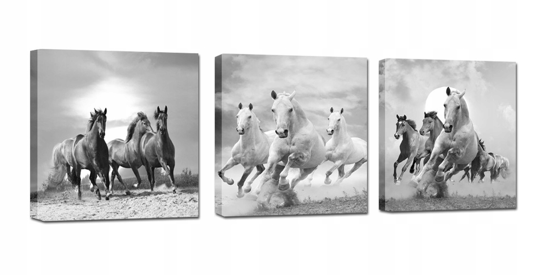 

Obrazy Konie Zestaw Komplet 105cm