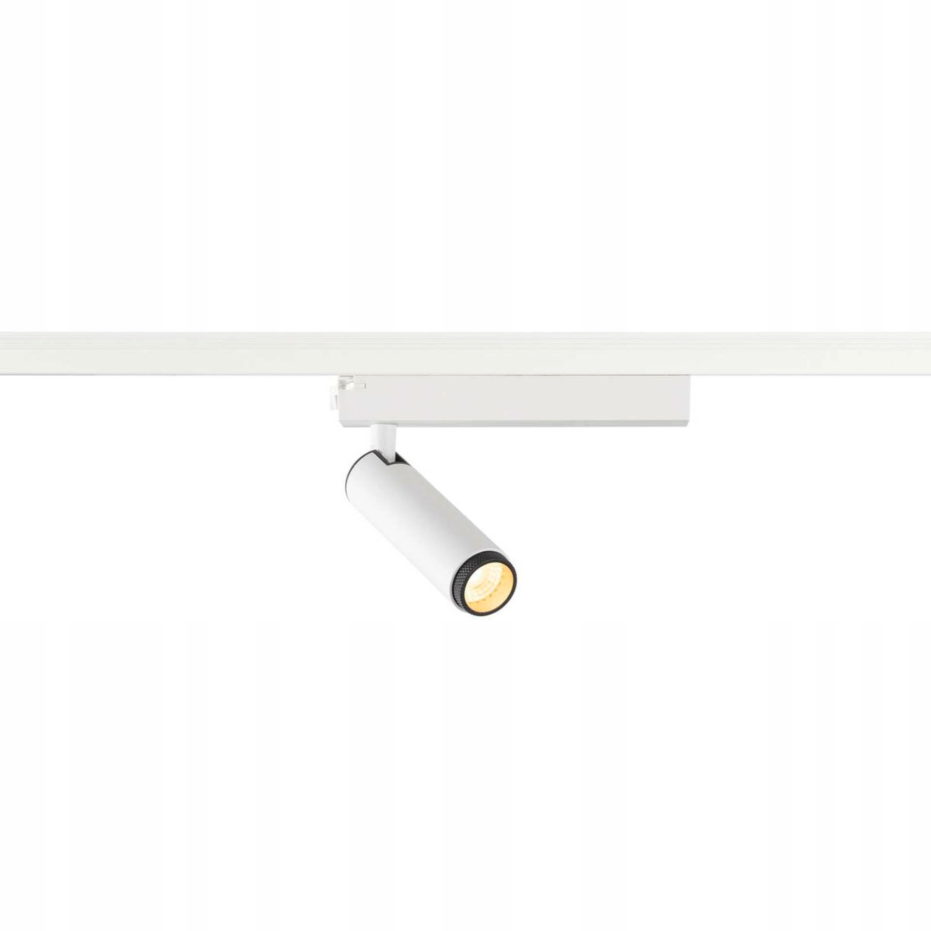 Big White Slv Grip! S 1~ spot, valcový, 2000-3000K, 11W, dim-to-warm, Pha