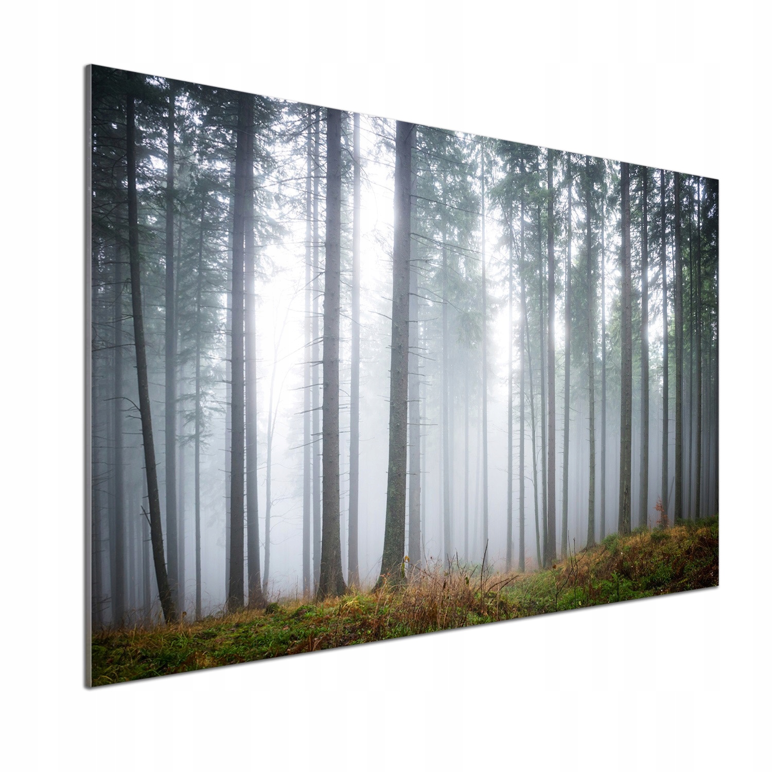 Panel dekor sklo Hmla v lese 100x70 cm Lepidlo